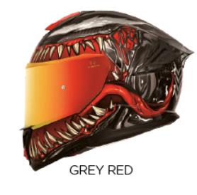 FASEED FS-861 Carbon Helmet